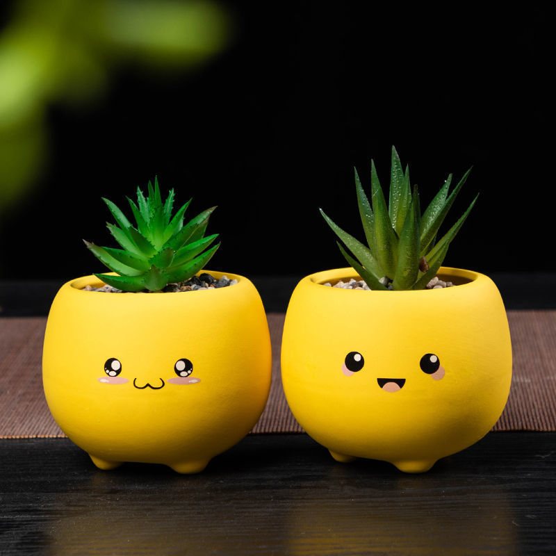 Mini Ceramic Succulent Pot Set