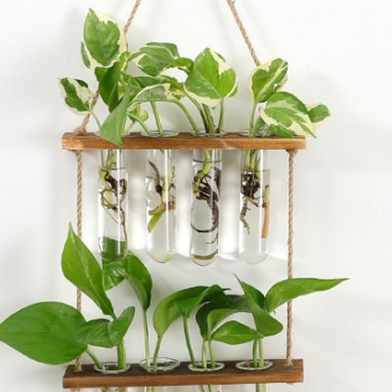 Wall-Hanging Glass Propagation Planter